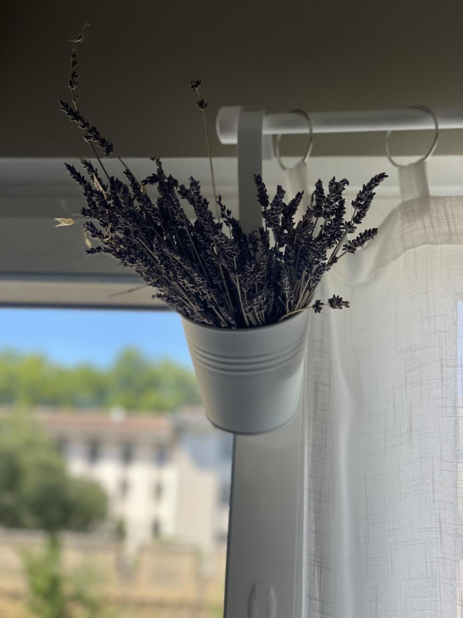 Chez Flo Lejlighed Avignon Eksteriør billede